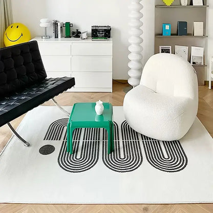 Fashion Area Rug, Thick Non-Slip Door Mat for Home